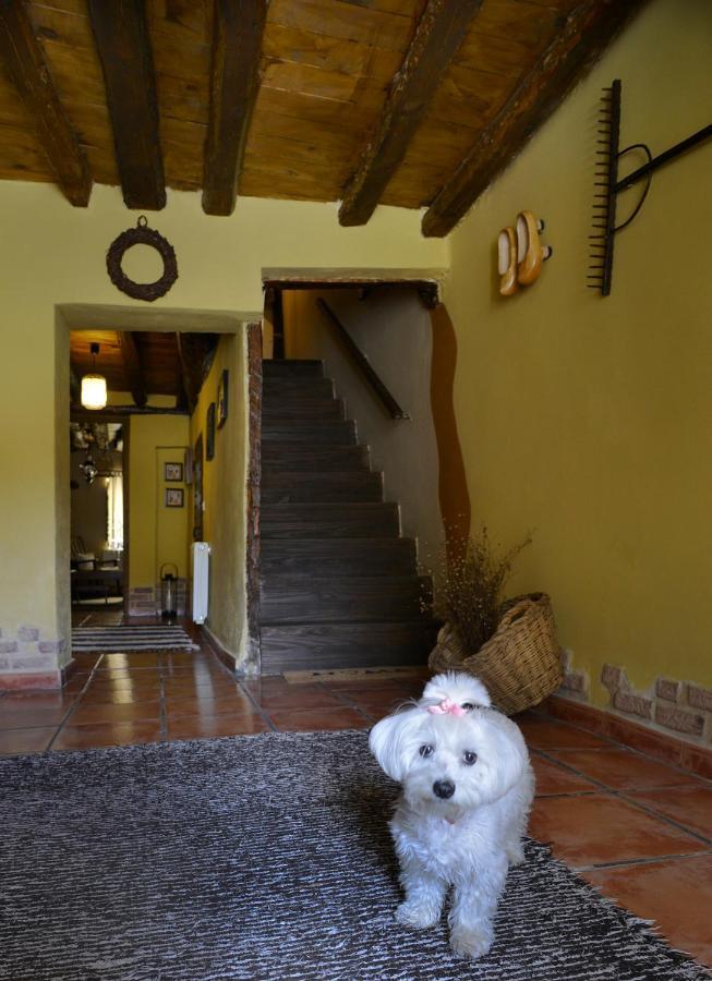 Affittacamere La Casita De Leire Tamajon Esterno foto